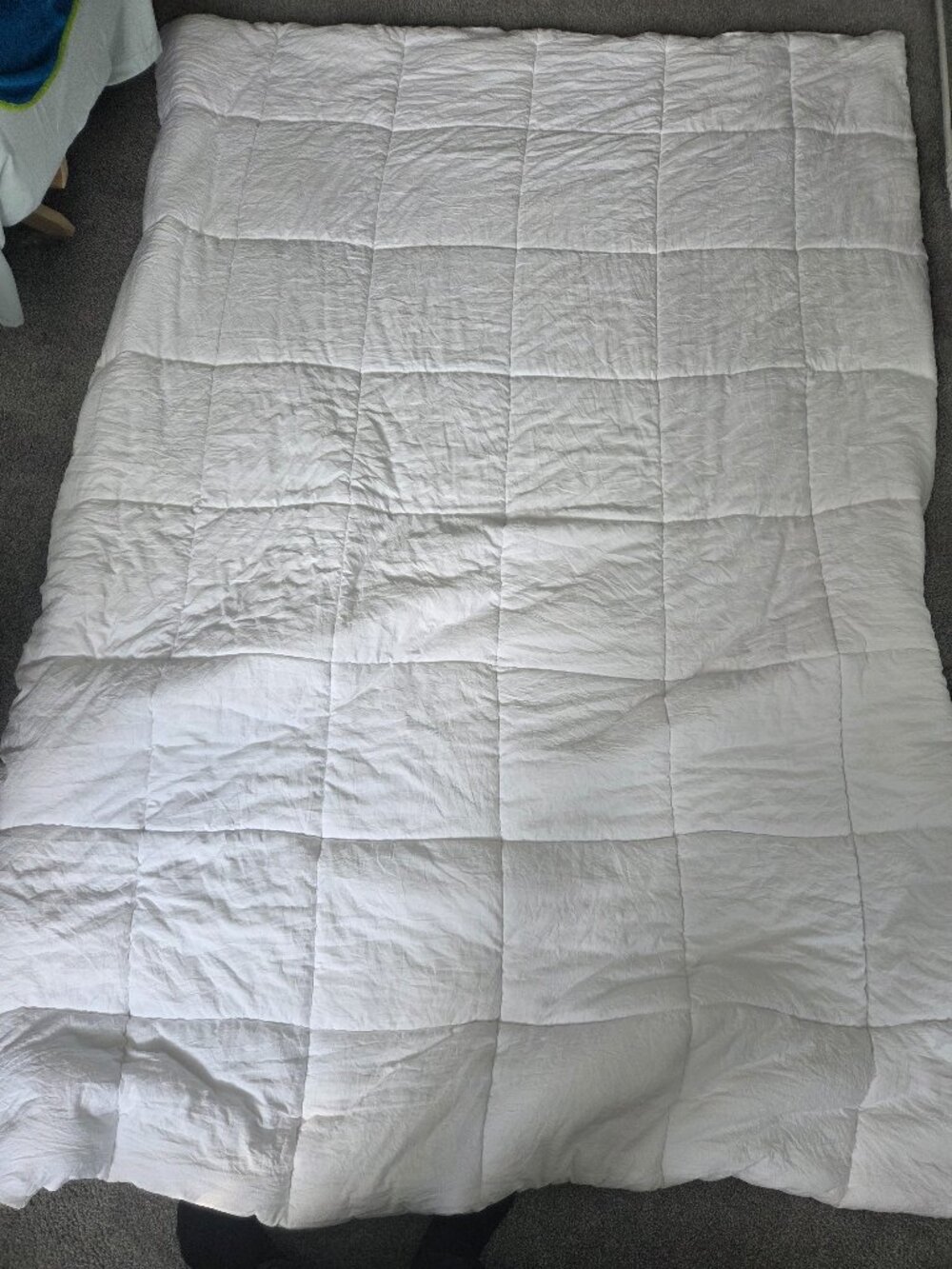 UGG Down- Alternative Duvet w/ cover
